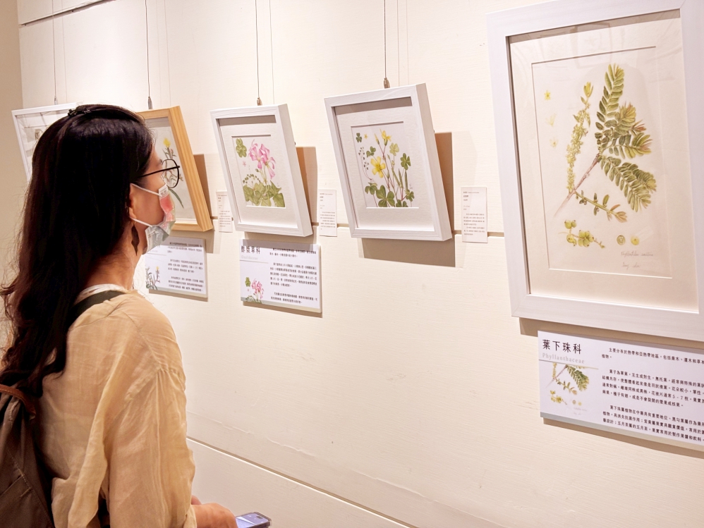 培育下一代人文素養　「成美藝廊」2026展覽徵件開跑邀藝術創作者共同擘畫地方文化願景