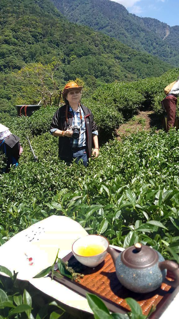 炎炎夏日品賞剛收到的今年梨山秘境高山春茶 3