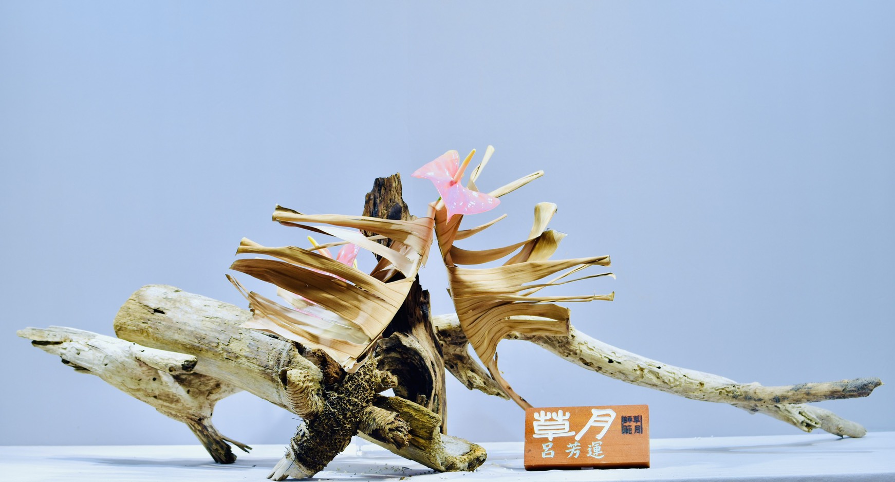 「台中海洋觀光季」首場活動7/6登場  木語·流光—台日草月流漂流木創作展