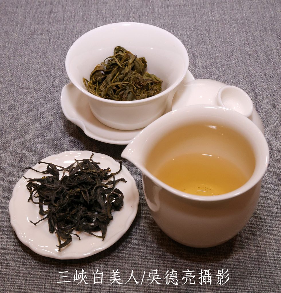 茶改場寄來最新發表之三款「臺灣橙茶」精品 | 索引新聞 INDEX News