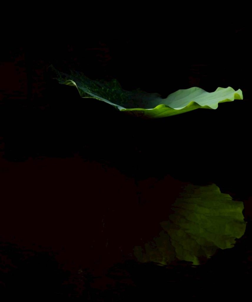 【郎亞玲有情癡】小雨燕的日記 【郎亞玲有情癡】小雨燕的日記