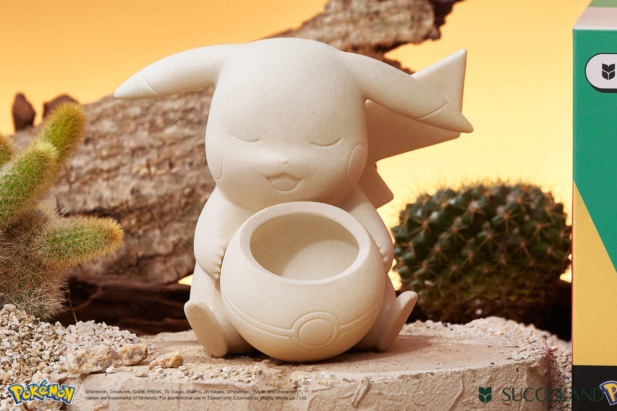 有肉 SUCCULAND 推盲盒植栽！皮卡丘、伊布變身盆器萌翻 | 索引新聞 INDEX News