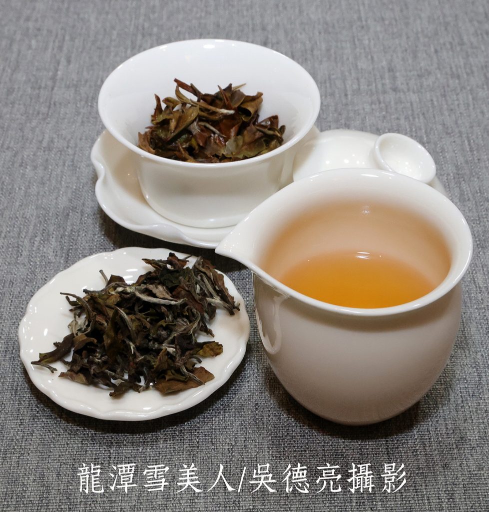 茶改場寄來最新發表之三款「臺灣橙茶」精品 | 索引新聞 INDEX News