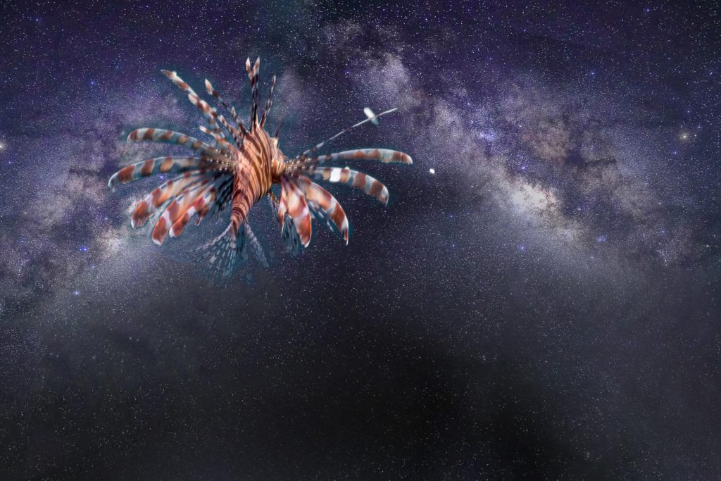 攝影家吳易達於亞書藝所舉辦「觀星逐浪－島漂：綠島的夜 星辰/大海」攝影個展，展現綠島星空與海洋之美，結合空拍與潛水視角，呼籲永續旅行與環保，邀您一同感受自然與人文的動人瞬間。