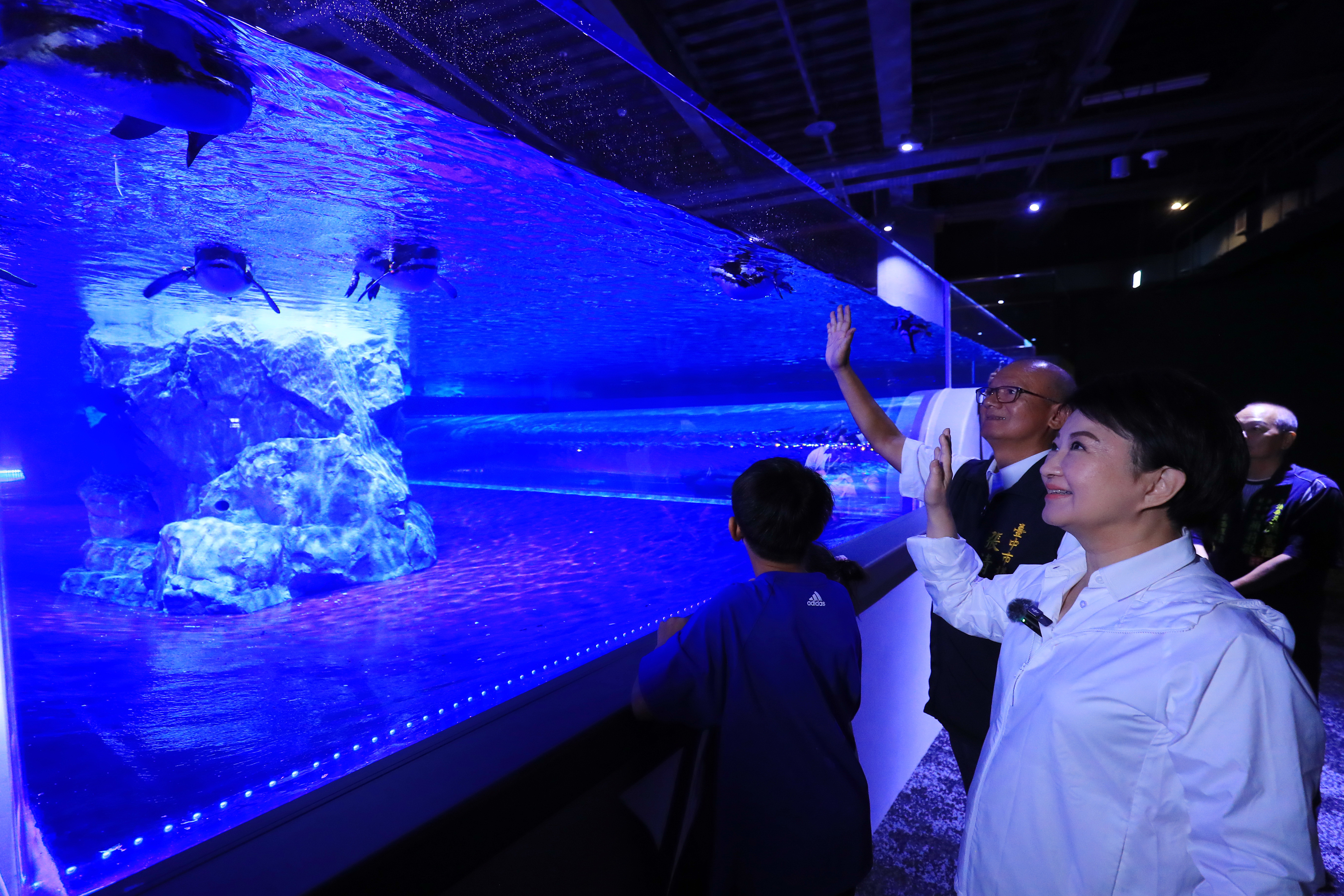 台中海洋館斥資13億、歷經三任市長十四年規劃，將於2025年8月21日盛大開幕。全台首創室內濕地體驗區、開放式展示，打造親子共學與生態保育新地標，成為台中海線觀光亮點！