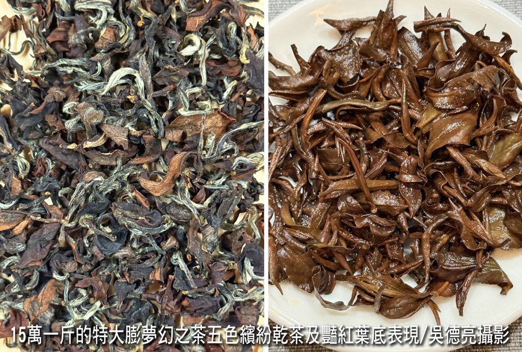 美人會年度聚會好茶品賞 美人會年度聚會好茶品賞