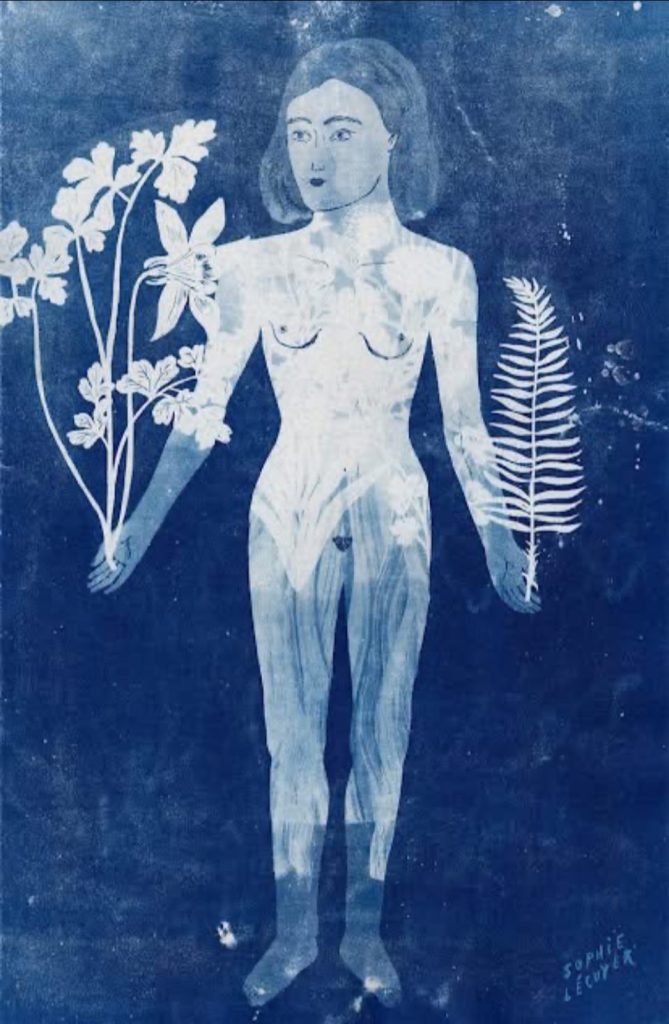 藍曬法(cyanotype) 布滿感光的紙面， 看到似真又浮的回憶。 | 索引新聞 INDEX News