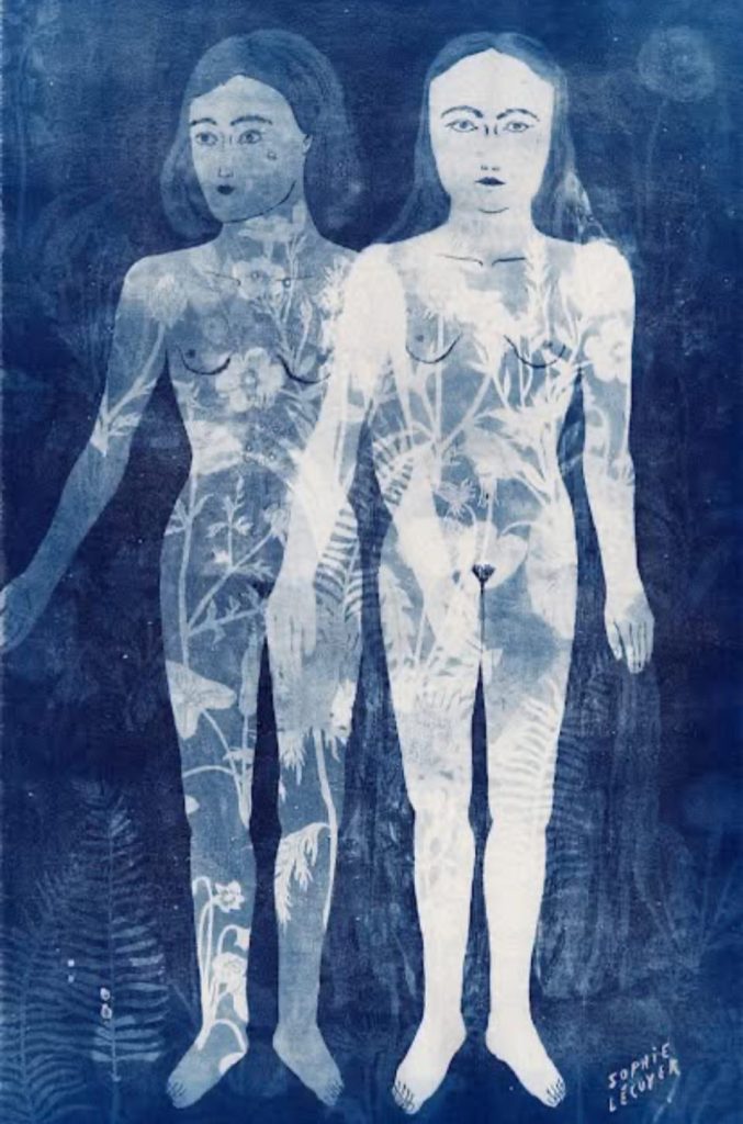 藍曬法(cyanotype) 布滿感光的紙面， 看到似真又浮的回憶。 | 索引新聞 INDEX News