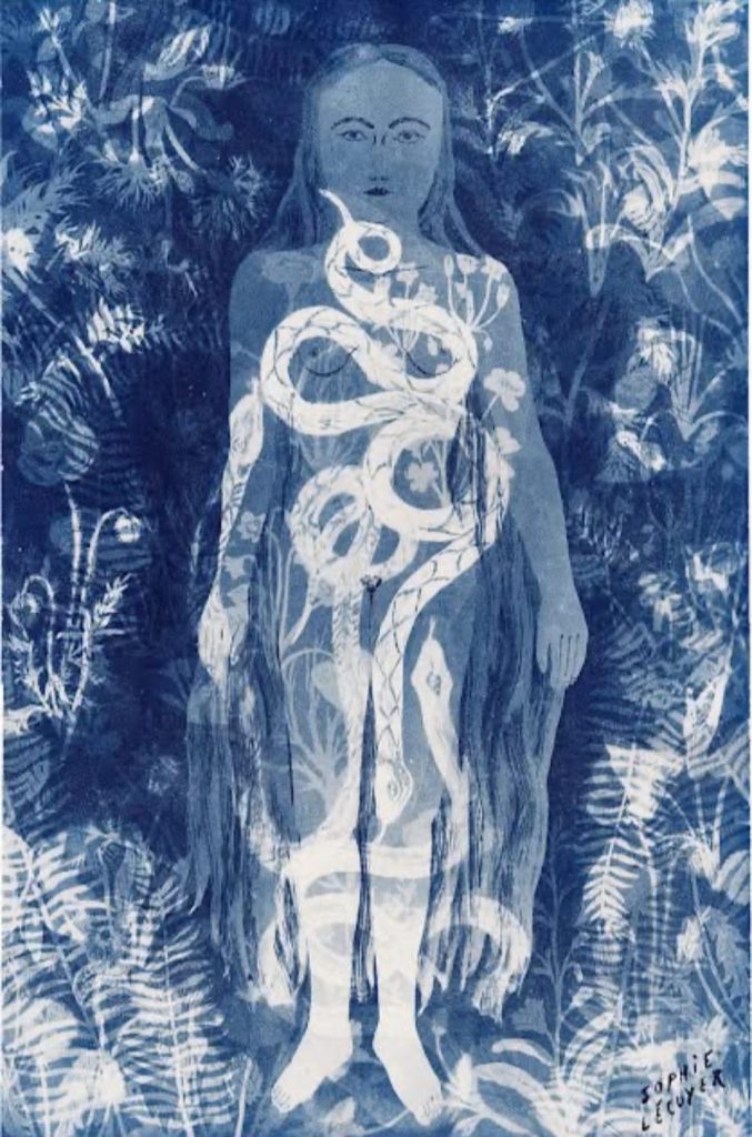 藍曬法(cyanotype) 布滿感光的紙面， 看到似真又浮的回憶。 | 索引新聞 INDEX News