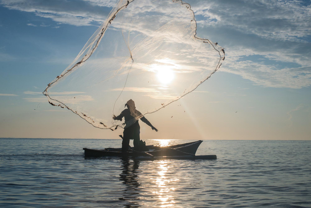 綠能浪潮下的漁業困境 — 台灣離岸風電恐淪為海上「覓食難民」