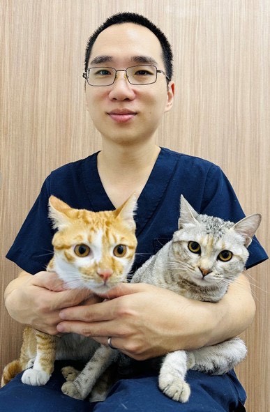 陳重威獸醫師研發MGRS手術 提供貓咪齒齦口炎治療新選擇 | 索引新聞 INDEX News