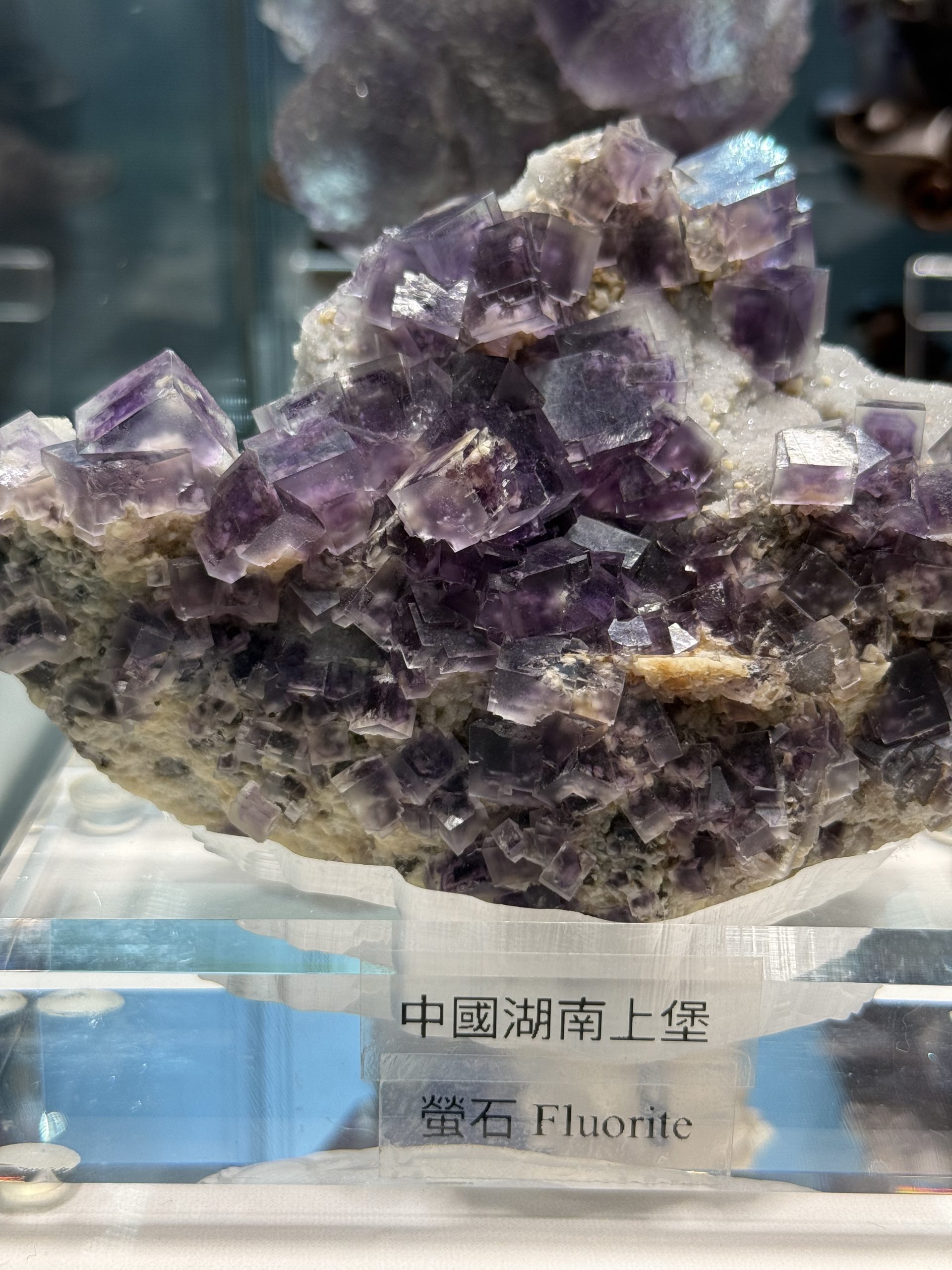 瑰寶三石展盛大落幕｜2025國際寶石學術商貿展引領台灣珠寶新風潮 | 索引新聞 INDEX News