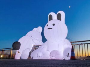 療癒可愛兔兔Q 新月橋限定萌翻登場