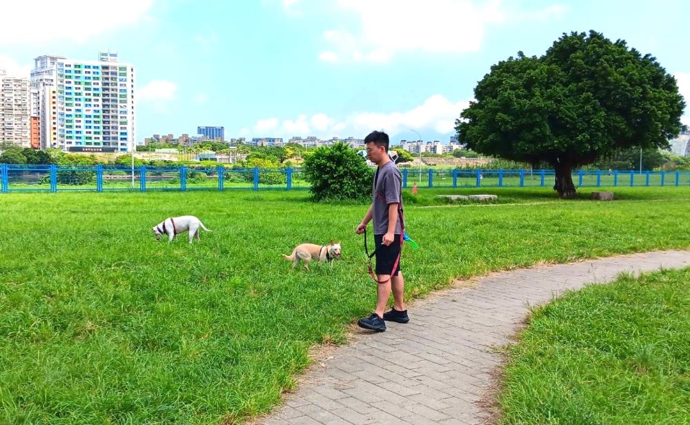 《圖說》新北河濱寵物公園擁有廣大空間+可讓毛孩盡情奔跑。〈高灘處提供〉