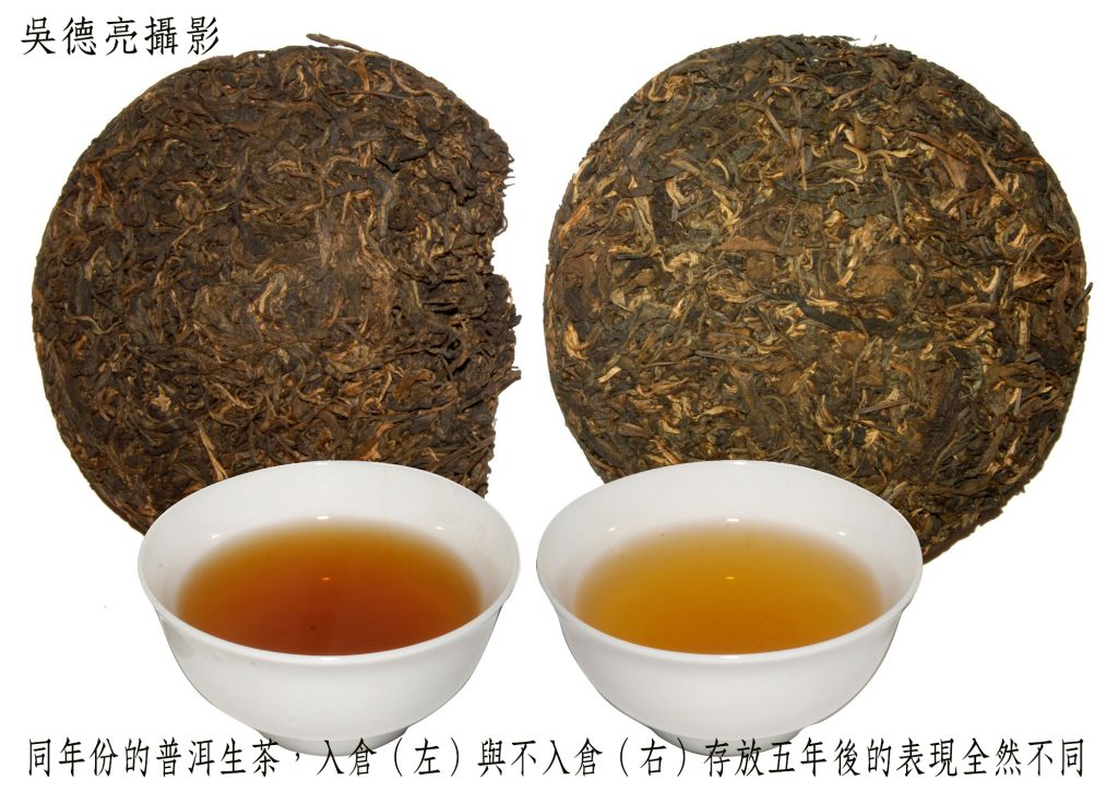 普洱茶「以陳為貴」乾倉與濕倉差別大公開 | 索引新聞 INDEX News