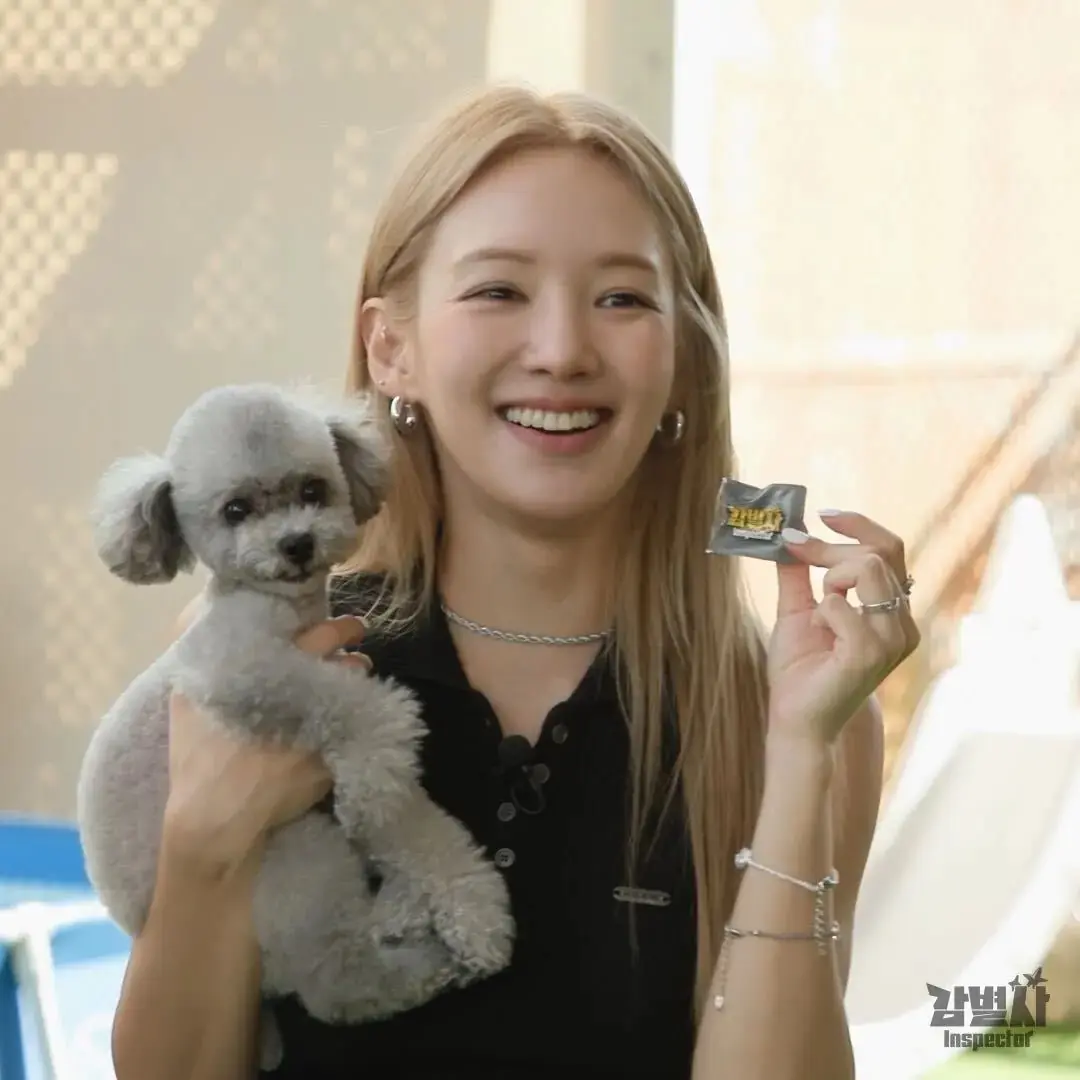 舒華《鑑定師》Talk concert 再揭寶藏嘉賓 孝淵與林柏宏攜手入主