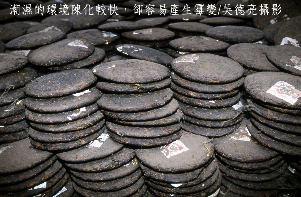 普洱茶「以陳為貴」乾倉與濕倉差別大公開 | 索引新聞 INDEX News