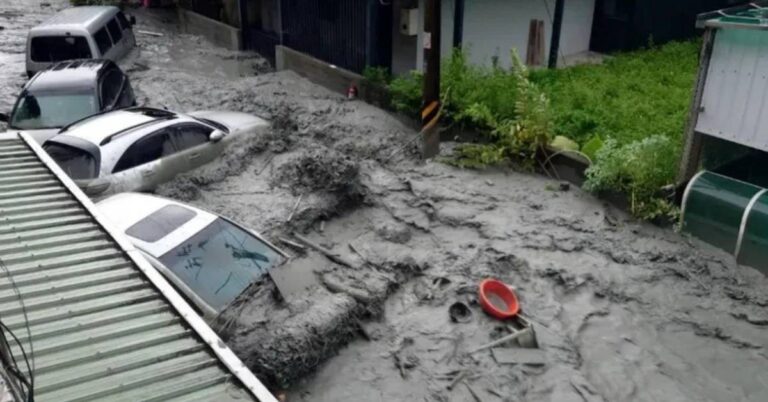 愛爾麗捐500萬攜手企業與藝人 專款助光復災後重建