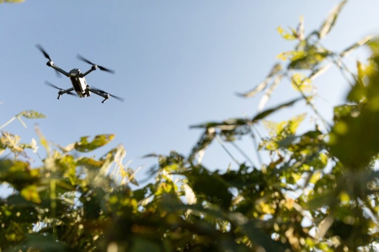 遇見未來：高科技與永續並行的美國黃豆農場