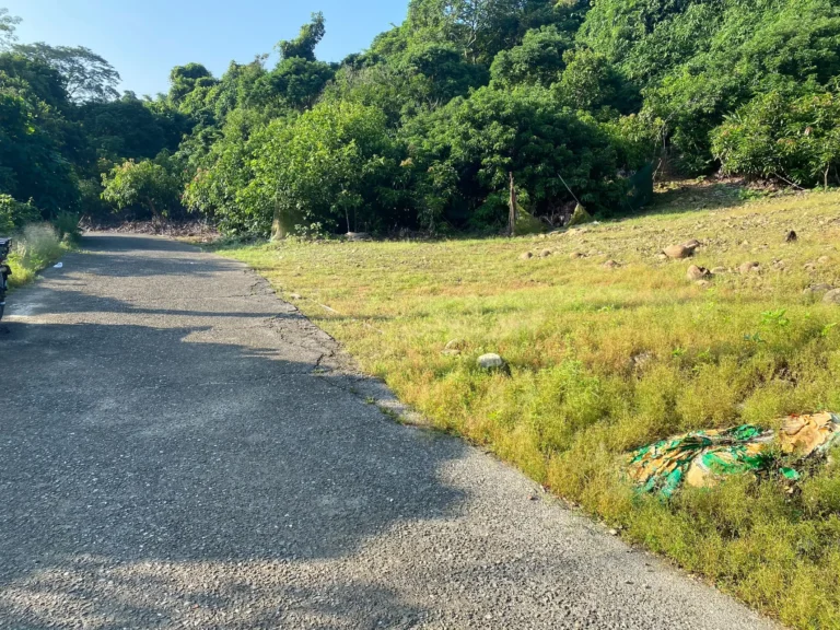 高雄建商父女1死1重傷   疑周轉不靈釀悲劇