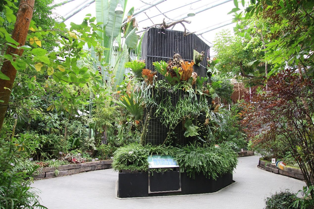 台北典藏植物園暑期手作課程　百名市民共創綠意回憶 | 索引新聞 INDEX News