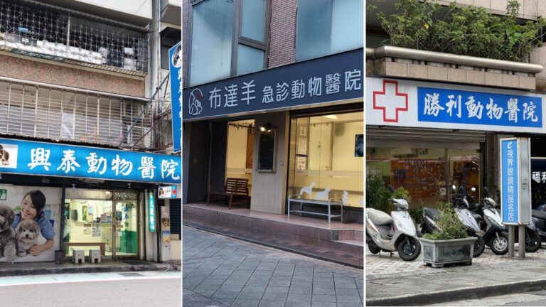 從陪伴走向照護  寵物醫療逐步融入現代生活日常