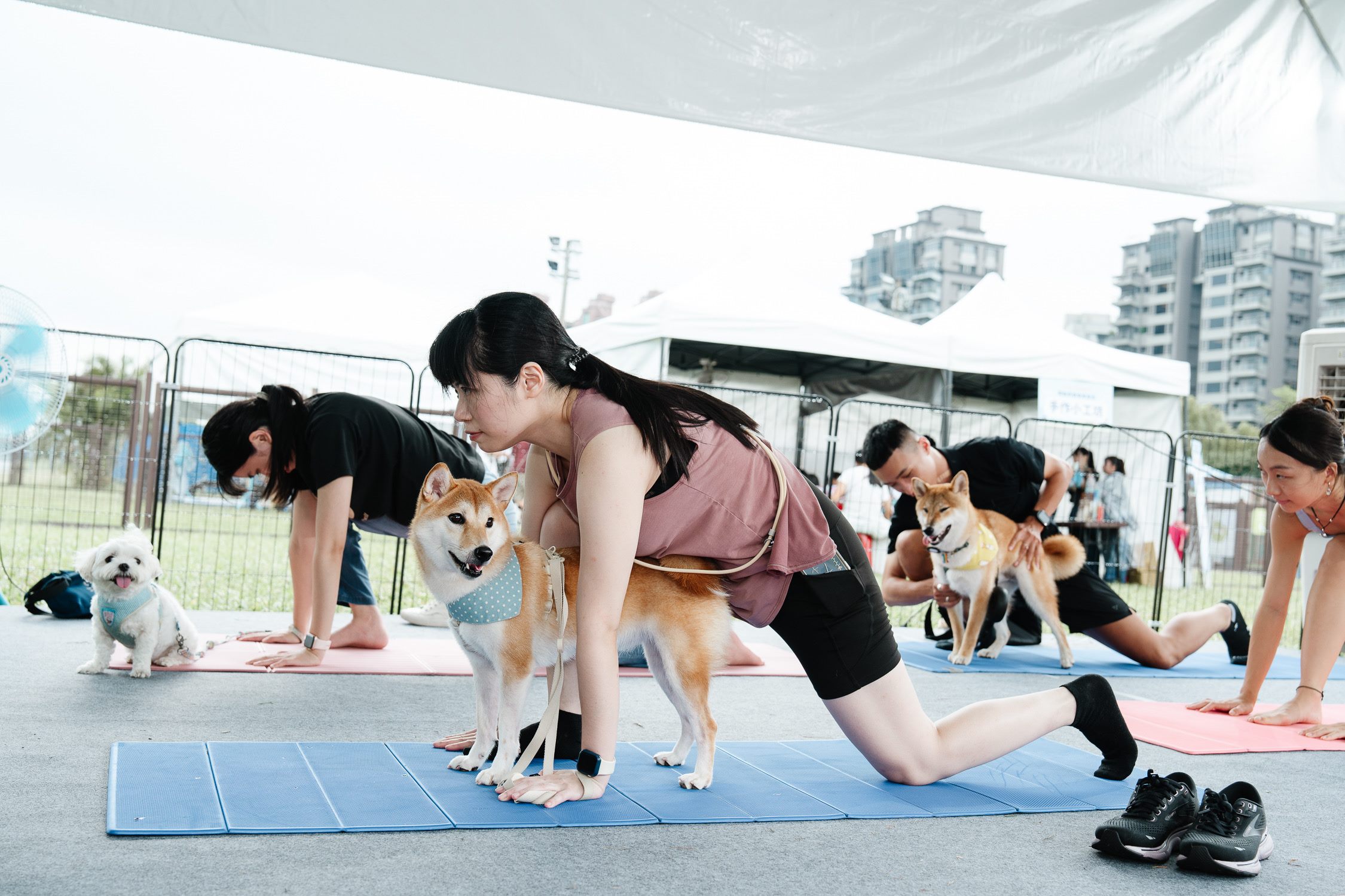 毛孩就是家人!台北動保月開跑 親子共玩人寵瑜珈、動保大富翁 毛孩就是家人!台北動保月開跑 親子共玩人寵瑜珈、動保大富翁