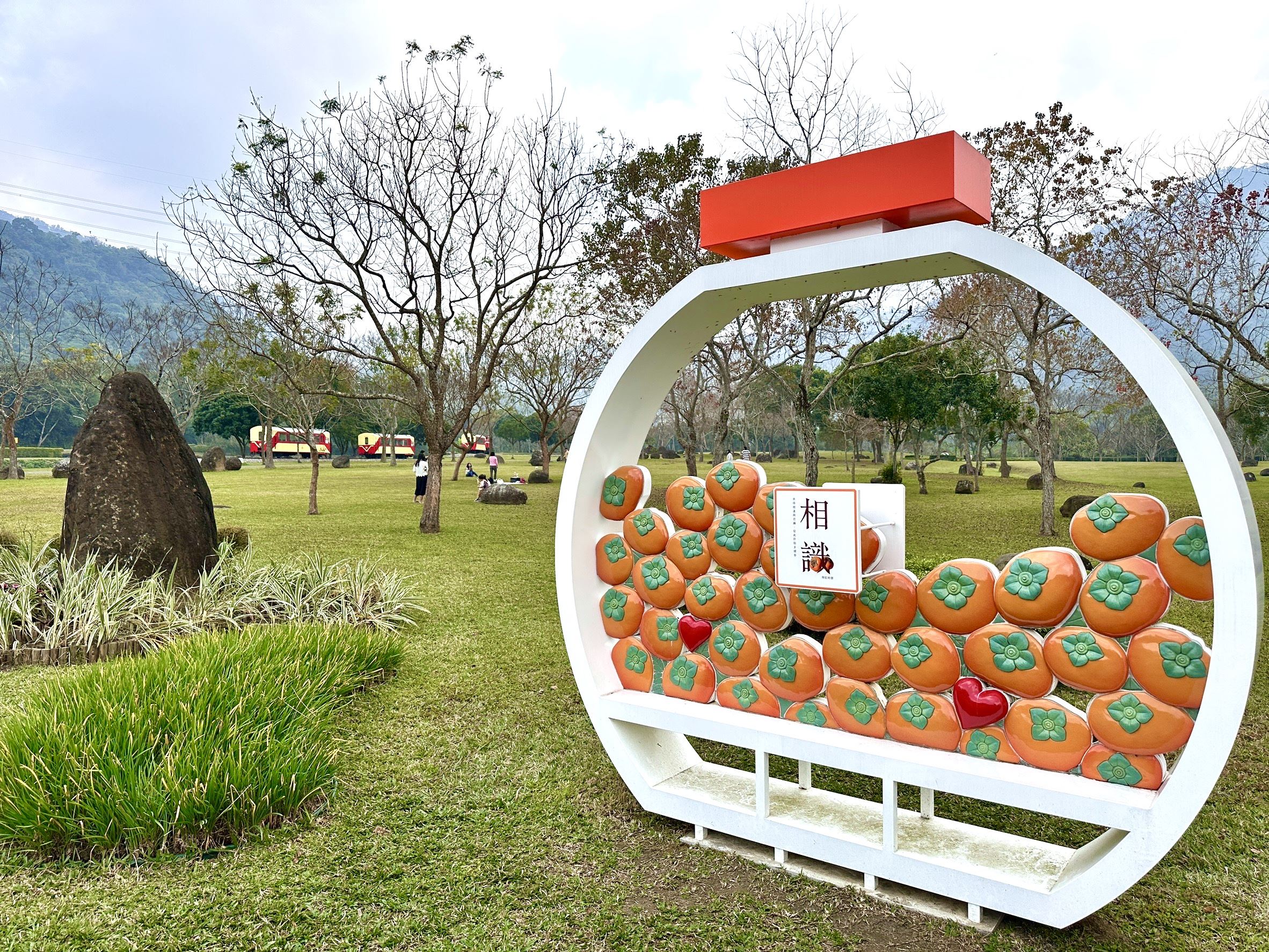 秋遊嘉義絕景！隙頂雲海步道、茶香公路漫旅 | 索引新聞 INDEX News
