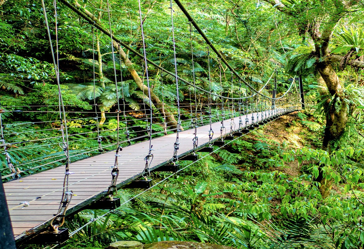 大板根森林溫泉酒店唯一雙SPA生態打造企業尾牙春酒尊榮饗宴