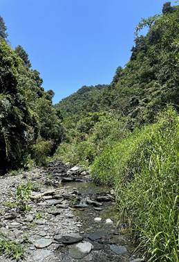 棲地地圖升級中！生多所運用遙測大數據讓棲地分布更清晰 | 索引新聞 INDEX News
