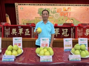 八里文旦柚評鑑揭曉     李進成 、李春益分別奪冠