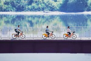 9/22國際無車日     新北最美218公里河濱自行車道任你騎