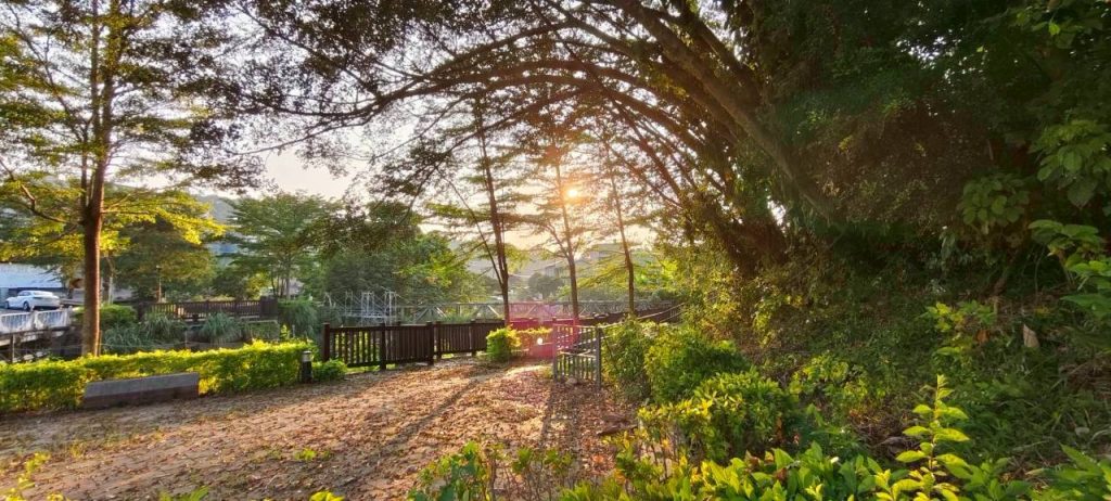 【郎亞玲有情癡】向南