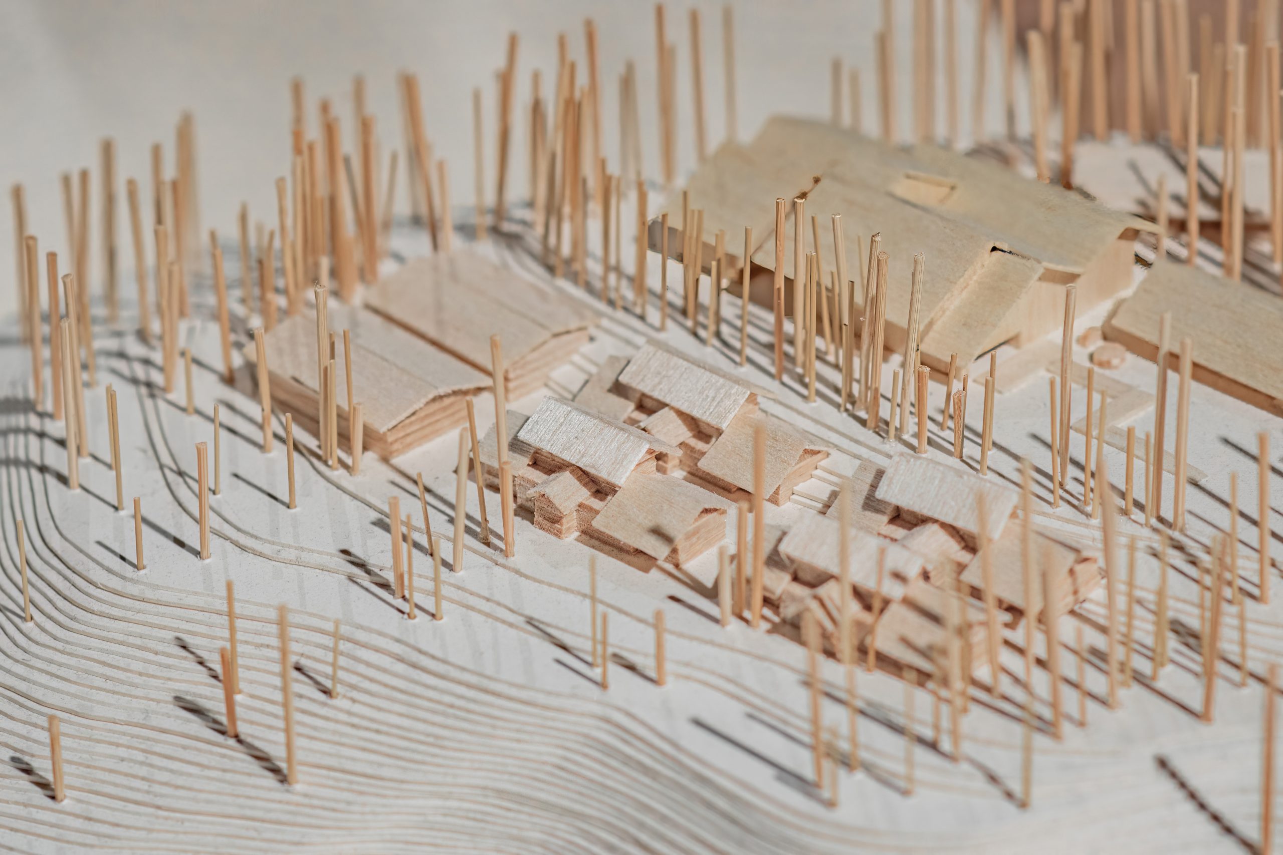 木造建築的低碳革命!走進「木的世代」感受永續美學 木造建築的低碳革命!走進「木的世代」感受永續美學