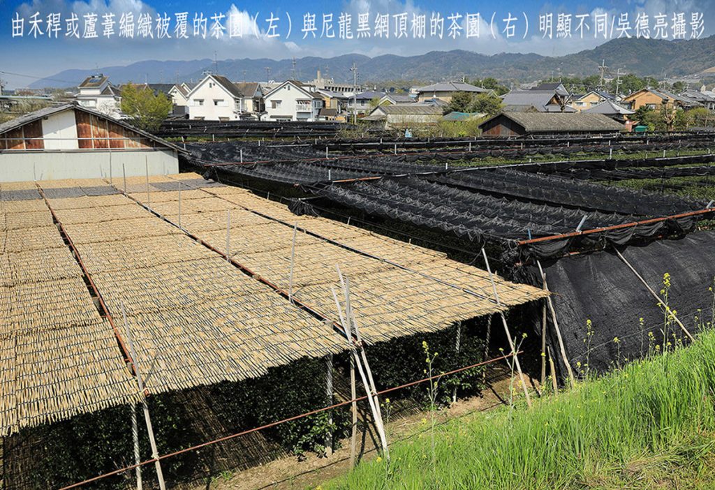 幕府大將軍御用茶500年傳承 日本京都宇治茶上林三入傳奇 | 索引新聞 INDEX News
