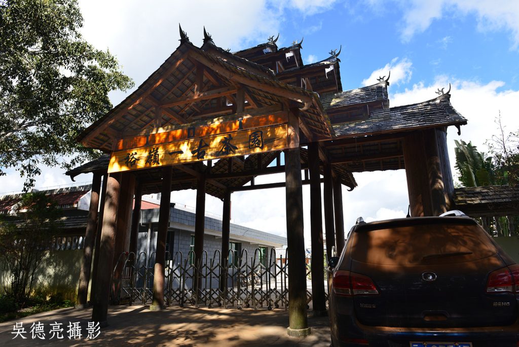 全球首度以「茶」為主題的世界文化遺產 景邁千年古茶園 全球首度以「茶」為主題的世界文化遺產 景邁千年古茶園