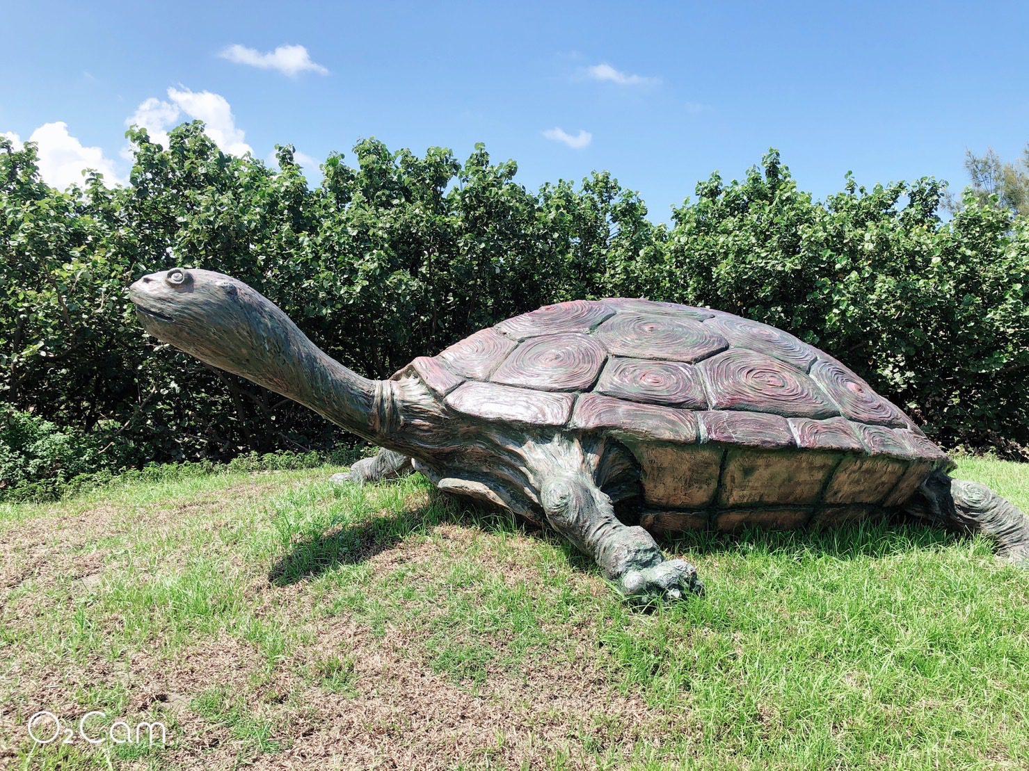 2025台中市民野餐日　齊聚大安作伙來「五感閱讀」