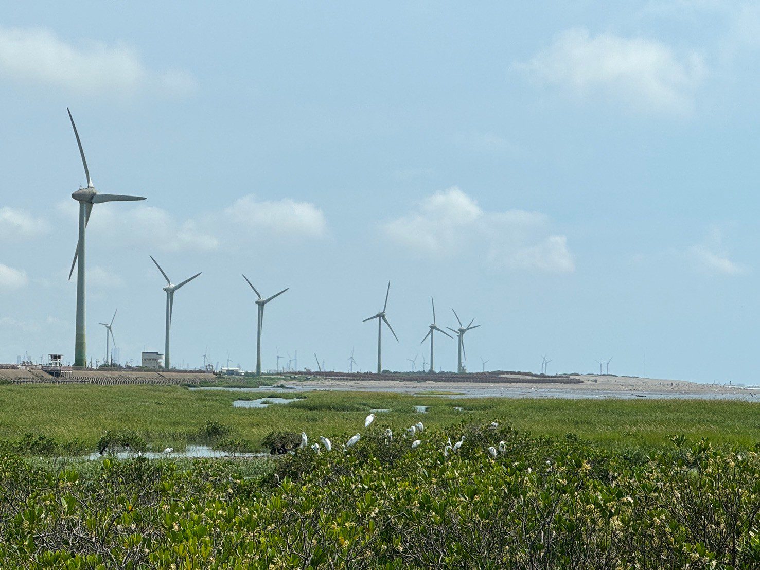 2025台中市民野餐日　齊聚大安作伙來「五感閱讀」