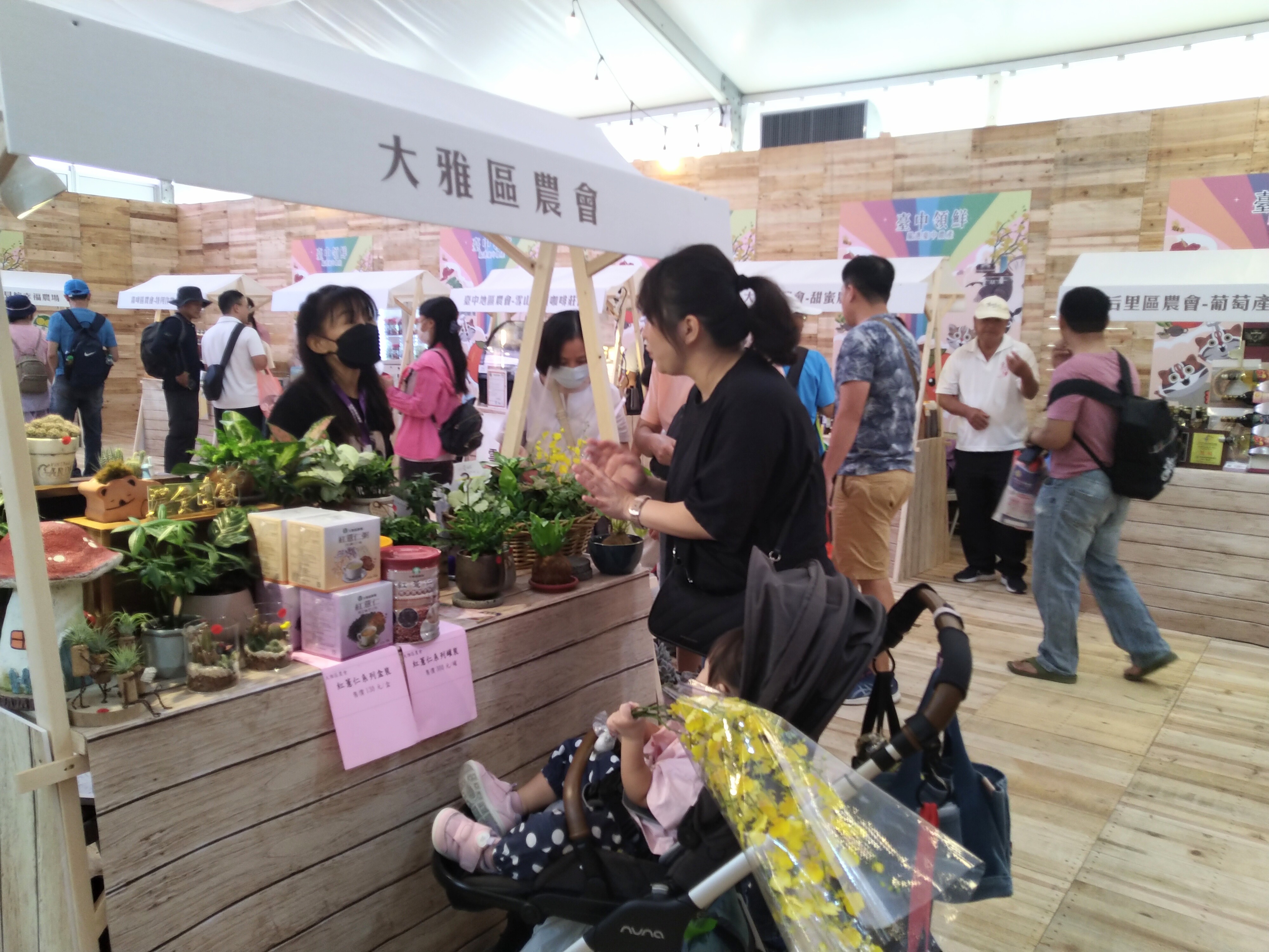 新社花海域經濟整合吸睛 中台灣農業區域合作典範 新社花海域經濟整合吸睛 中台灣農業區域合作典範