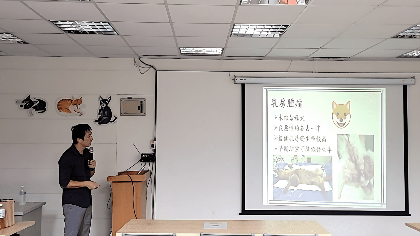 新北動保處舉辦寵物照護課程　10月至12月課程搶先看 | 索引新聞 INDEX News