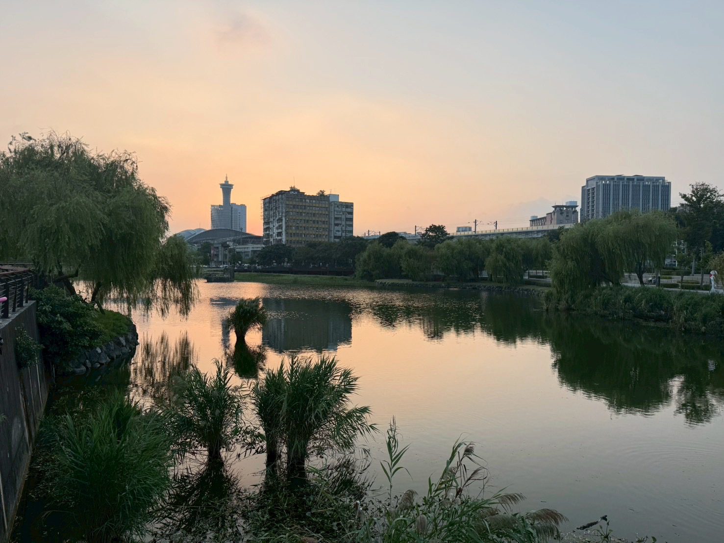 從大水坑到生態湖　台中湧泉公園圈粉日本造園大師