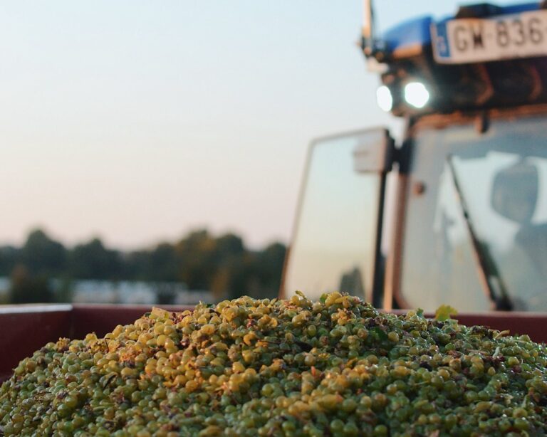 法國原裝葡萄酒歡慶來台10週年 輕享微醺的法式浪漫