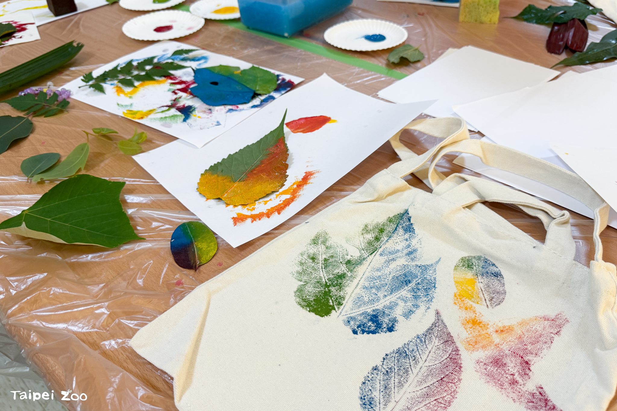 北市動物園111周年慶　邀您一起參與「野性再現」行動