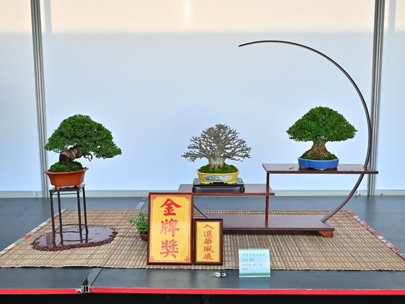 限時4天！士林官邸「漢風盆景展」快閃　百年樹齡珍稀盆景一次看 | 索引新聞 INDEX News