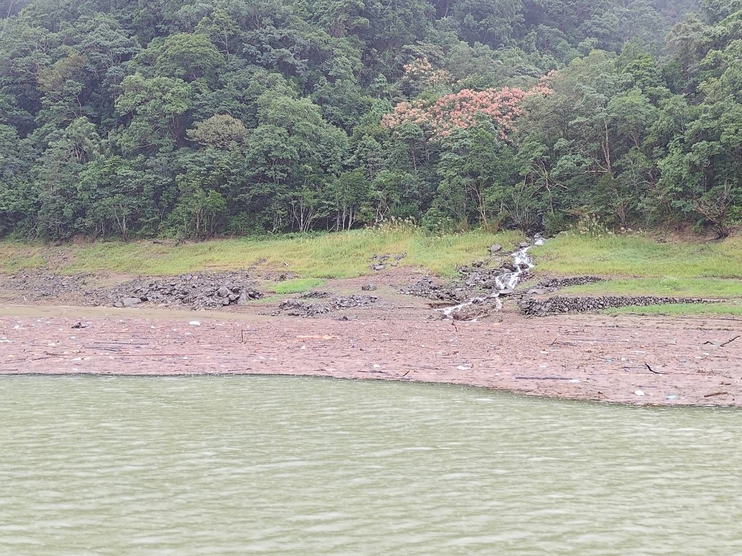 豪雨釀災！漂流木湧翡翠水庫　北水局即刻清汙捍衛大台北用水安全 | 索引新聞 INDEX News