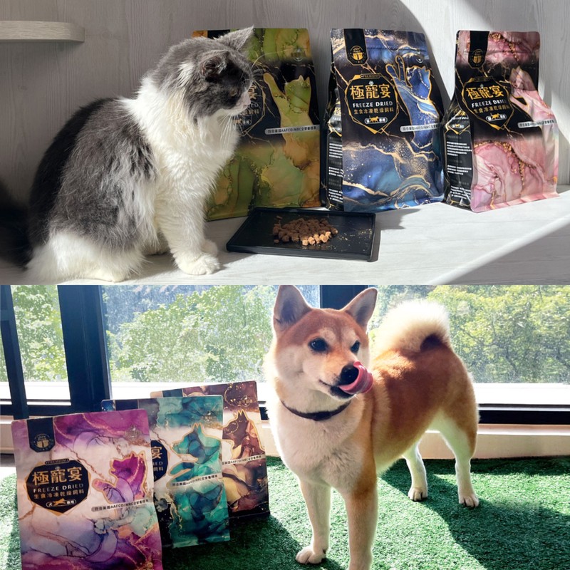 首創毛孩最強慶典！10/31-11/3台北世貿萌寵物展超越雙11囤貨節