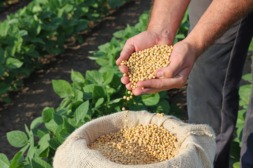 掌握永續飲食新浪潮！「2025 U.S. Soy Food Forum 美國黃豆食品國際趨勢論壇」解析黃豆營養與全球趨勢 | 索引新聞 INDEX News