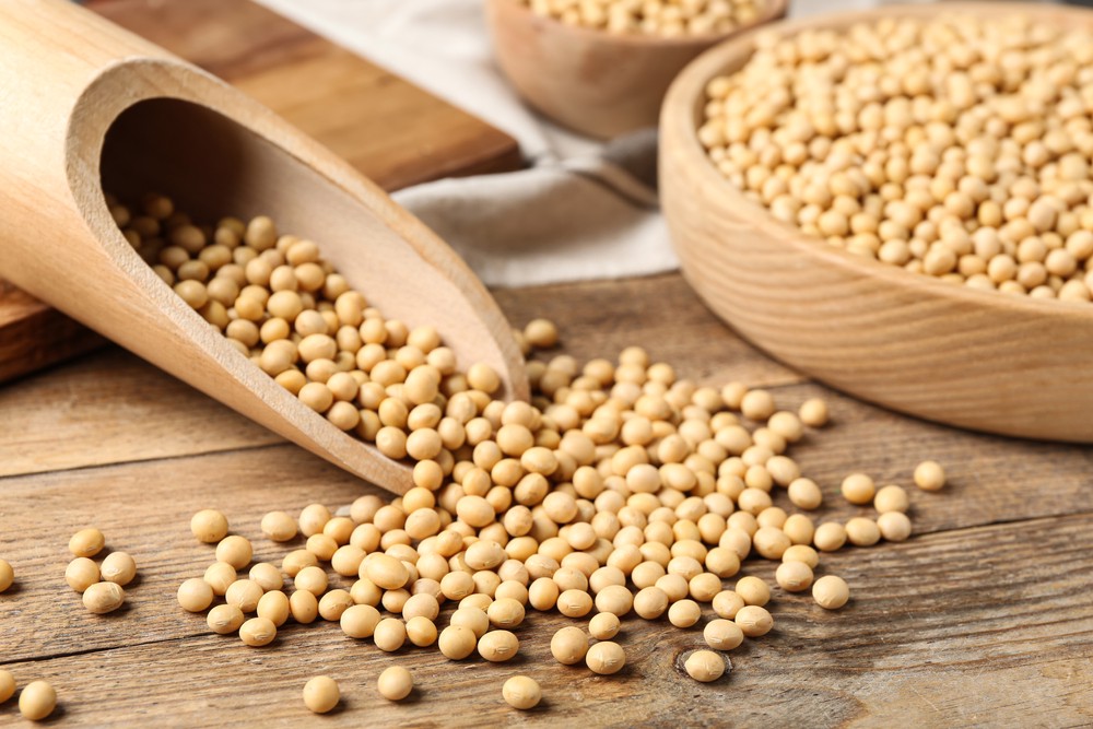 掌握永續飲食新浪潮！「2025 U.S. Soy Food Forum 美國黃豆食品國際趨勢論壇」解析黃豆營養與全球趨勢 | 索引新聞 INDEX News