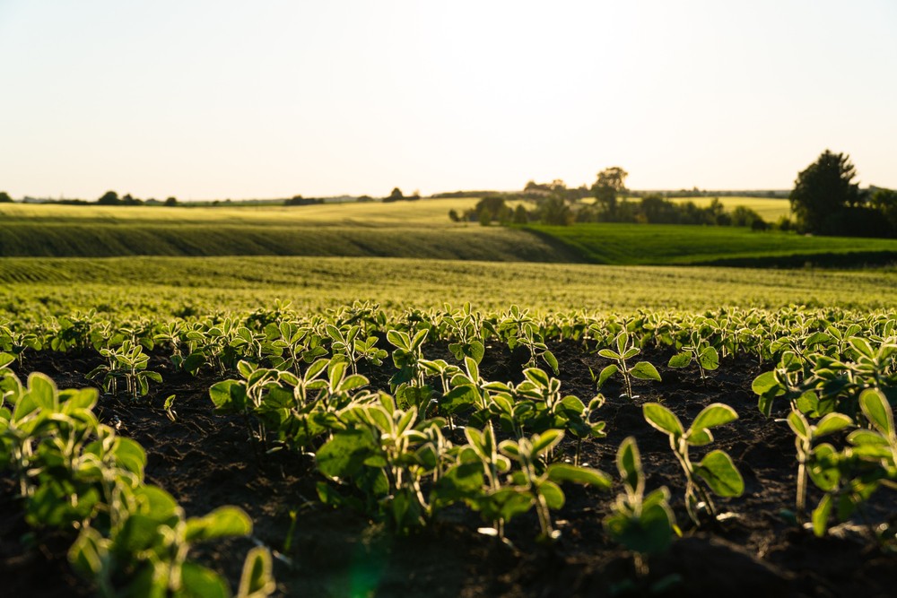 掌握永續飲食新浪潮！「2025 U.S. Soy Food Forum 美國黃豆食品國際趨勢論壇」解析黃豆營養與全球趨勢 | 索引新聞 INDEX News