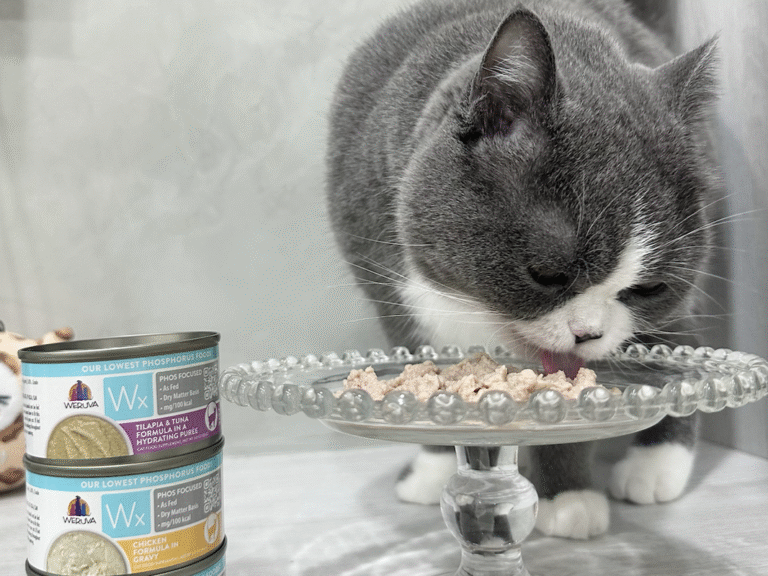 貓咪健康飲食新趨勢　唯美味Wx於世界貓咪博覽會揭示